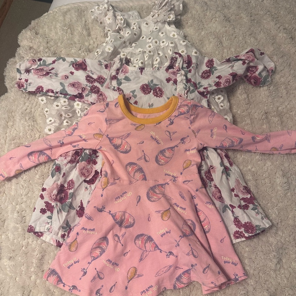 Baby girl dress bundle.